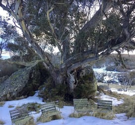 Accommodation & Tourism  business for sale in Perisher Valley - Image 2