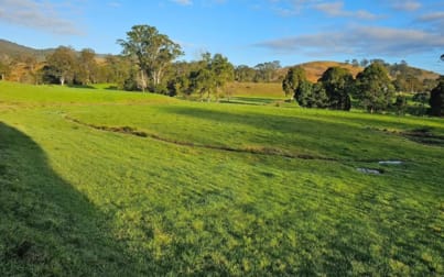 1989 Waukivory Road, Waukivory via Gloucester NSW 2422 - Image 2