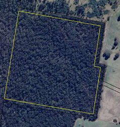 Lot 112 Bucky Springs Road Rosemeath NSW 2632 - Image 2