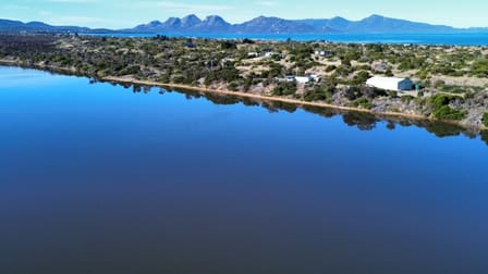 Rural & Farming  business for sale in Dolphin Sands - Image 1