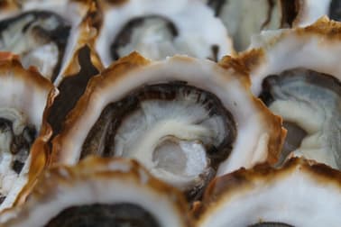 Rural & Farming  business for sale in Dolphin Sands - Image 2