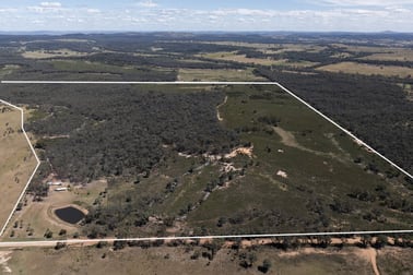 1375 Upper Laheys Creek Road Dunedoo NSW 2844 - Image 3