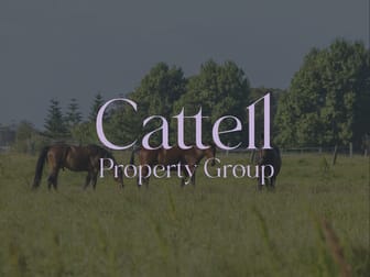 367 Seaham Road Nelsons Plains NSW 2324 - Image 1