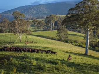 Click to view all images 294 Coramba Road Dorrigo NSW 2453 - Image 1