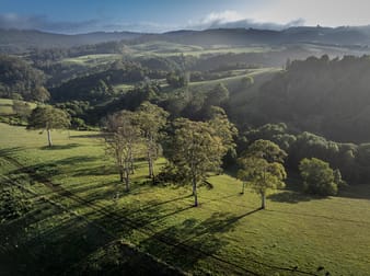 Click to view all images 294 Coramba Road Dorrigo NSW 2453 - Image 3