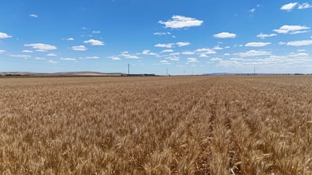 Section 284 Klaus Road Koolunga SA 5464 - Image 1