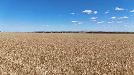 Section 284 Klaus Road Koolunga SA 5464 - Image 3