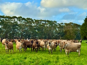 Click to view all images 29 Cowens Lane Nirranda East VIC 3268 - Image 3