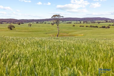 105 Peakview Road Young NSW 2594 - Image 3