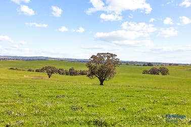 105 Peakview Road Young NSW 2594 - Image 2