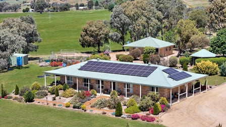 3374 Murringo Road Young NSW 2594 - Image 1