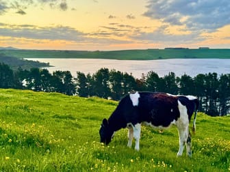 Click to view all images . Naroghid Road Camperdown VIC 3260 - Image 2