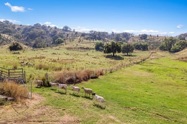 Click to view all images "Upper Forest View" 562 Wisemans Arm Road Attunga NSW 2345 - Image 2