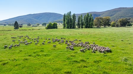 Click to view all images 60 Darmondys Road Leneva VIC 3691 - Image 3