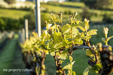 Click to view all images 42 Voss Rd Glaziers Bay TAS 7109 - Image 3