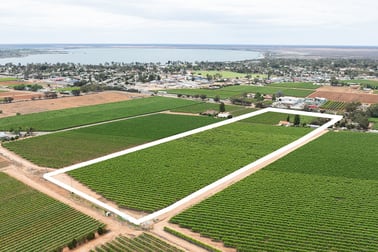 17574 Sturt Highway Barmera SA 5345 - Image 1