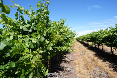 1489 McDonough Road Yenda NSW 2681 - Image 1