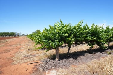 1489 McDonough Road Yenda NSW 2681 - Image 2