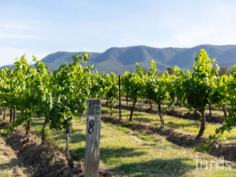 2/DP707940 Hermitage Road Pokolbin NSW 2320 - Image 1