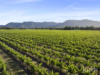 2/DP707940 Hermitage Road Pokolbin NSW 2320 - Image 3