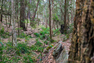 110 Lisa Road Wilton NSW 2571 - Image 2