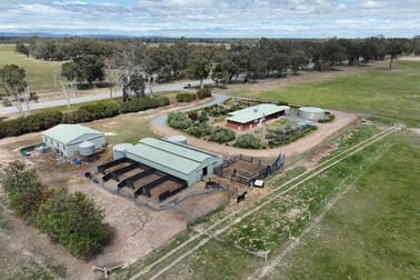 Click to view all images 3875 Murchison - Violet Town Road Violet Town VIC 3669 - Image 1