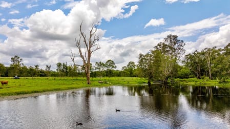 Click to view all images 6 Canando Street Woodford QLD 4514 - Image 2