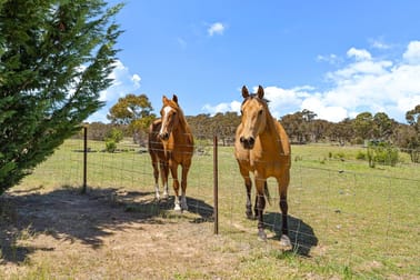 Click to view all images 35 Sheehan Road Hoskinstown NSW 2621 - Image 2