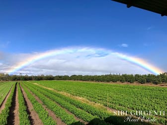 Click to view all images 1611 Mareeba-Dimbulah Arriga QLD 4880 - Image 1