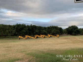 Click to view all images 1611 Mareeba-Dimbulah Arriga QLD 4880 - Image 3