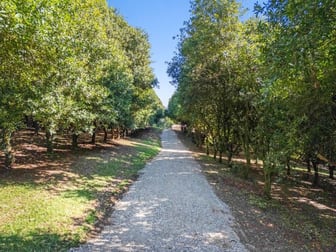 Click to view all images 412 Repentance Creek Road Repentance Creek NSW 2480 - Image 3