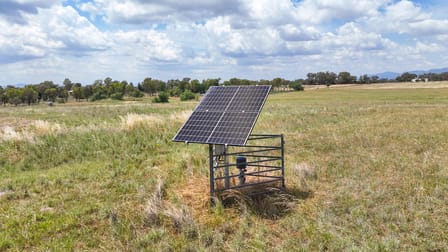 Click to view all images Lot 51 Duri-Winton Road Tamworth NSW 2340 - Image 3