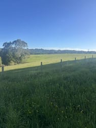 520 Dehnerts Track Beech Forest VIC 3237 - Image 1