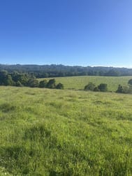 520 Dehnerts Track Beech Forest VIC 3237 - Image 3