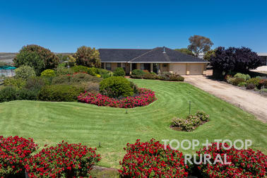 4457 Hunter Road Nildottie SA 5238 - Image 2
