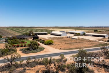 4457 Hunter Road Nildottie SA 5238 - Image 3