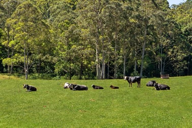 37 Chittaway Road Kangy Angy NSW 2258 - Image 2