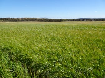 Lot 51 & 1 Boyagarra Road Brookton WA 6306 - Image 1