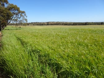 Lot 51 & 1 Boyagarra Road Brookton WA 6306 - Image 3