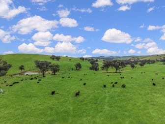 'horse Gully' Old Waugoola Road Woodstock NSW 2793 - Image 1