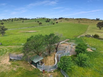 'horse Gully' Old Waugoola Road Woodstock NSW 2793 - Image 3