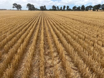 Lot 8 Edward Road Narngulu WA 6532 - Image 3