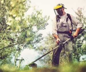 Garden & Household  business for sale in Albury - Image 3