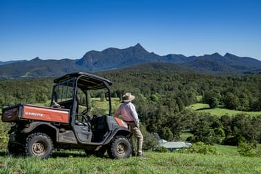 Click to view all images 148 Pine Log Road Doon Doon NSW 2484 - Image 1