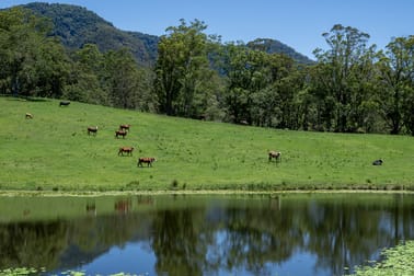 148 Pine Log Road Doon Doon NSW 2484 - Image 2