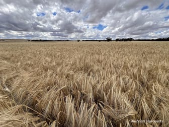 Click to view all images . Waitavalo Farms Narembeen WA 6369 - Image 3