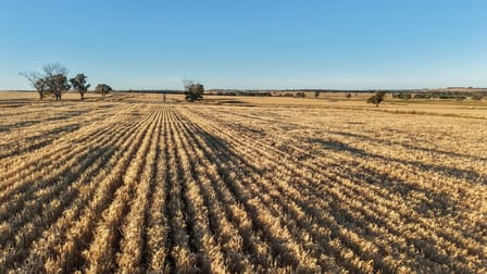 The Ranch 27R Plain Creek Road Wongarbon NSW 2831 - Image 2