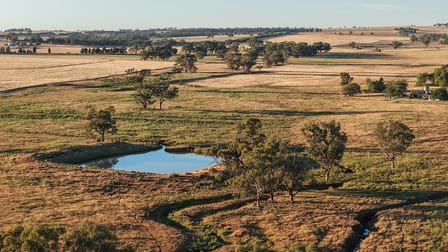 The Ranch 27R Plain Creek Road Wongarbon NSW 2831 - Image 3