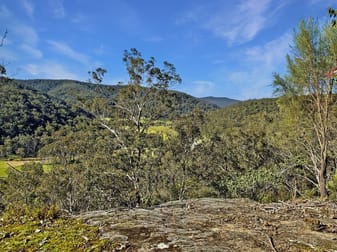 2299 Wollombi Road Sweetmans Creek NSW 2325 - Image 1