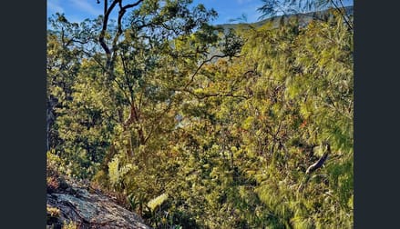 2299 Wollombi Road Sweetmans Creek NSW 2325 - Image 2